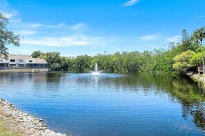 Property grounds - Charming 3 Bd, 1 min Mercato, 2 miles from the sunny Vanderbilt Beach in Naples. (Naples)