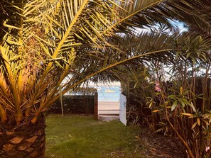 A garden with palm trees and a view of the sea. - Waterfront house: (Lège-Cap-Ferret)