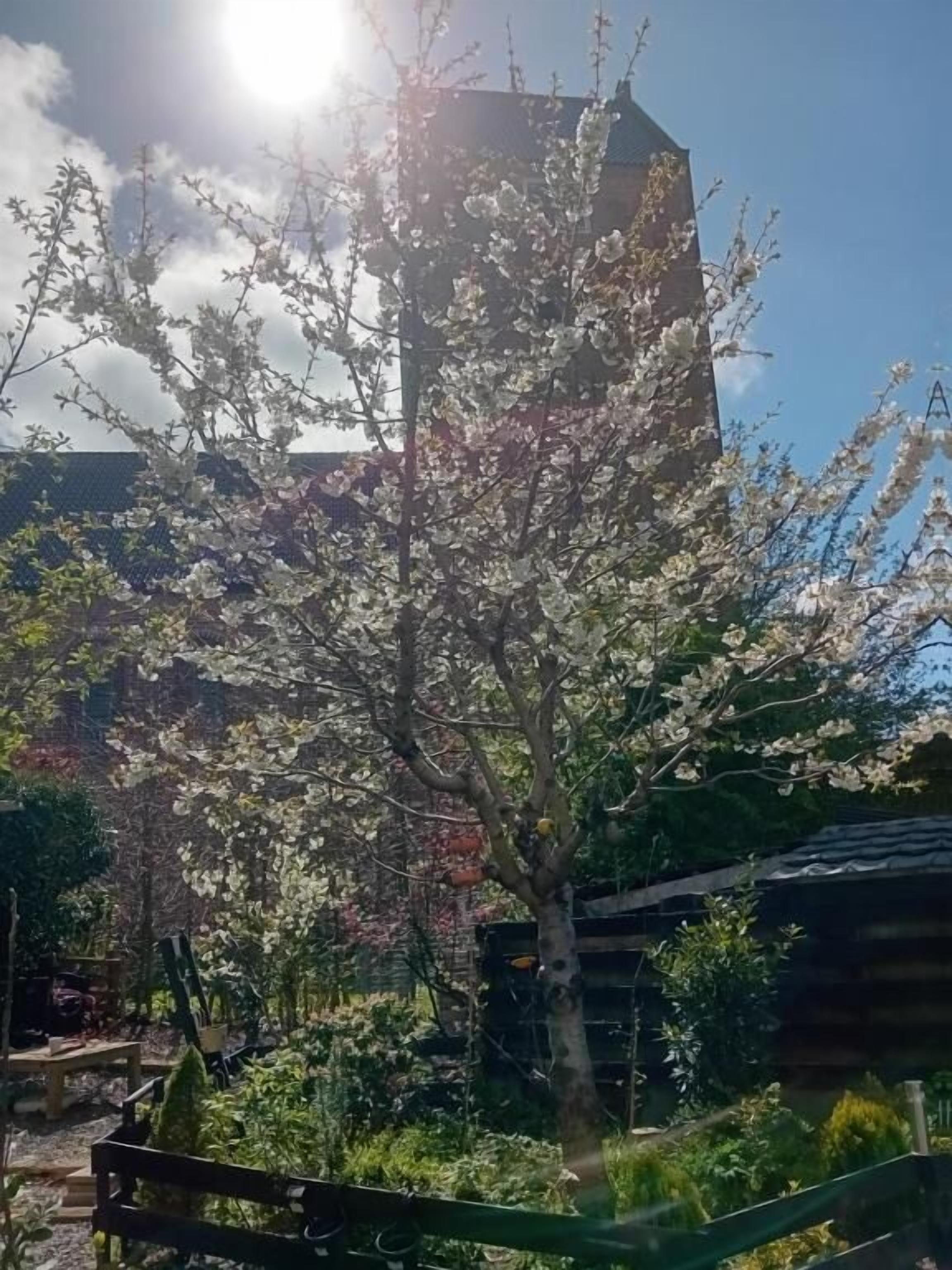 Terrein van de accommodatie