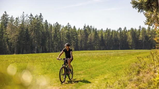 A cyclist on a trail surrounded by trees. - Landhotel Talblick  (Neuweiler)
