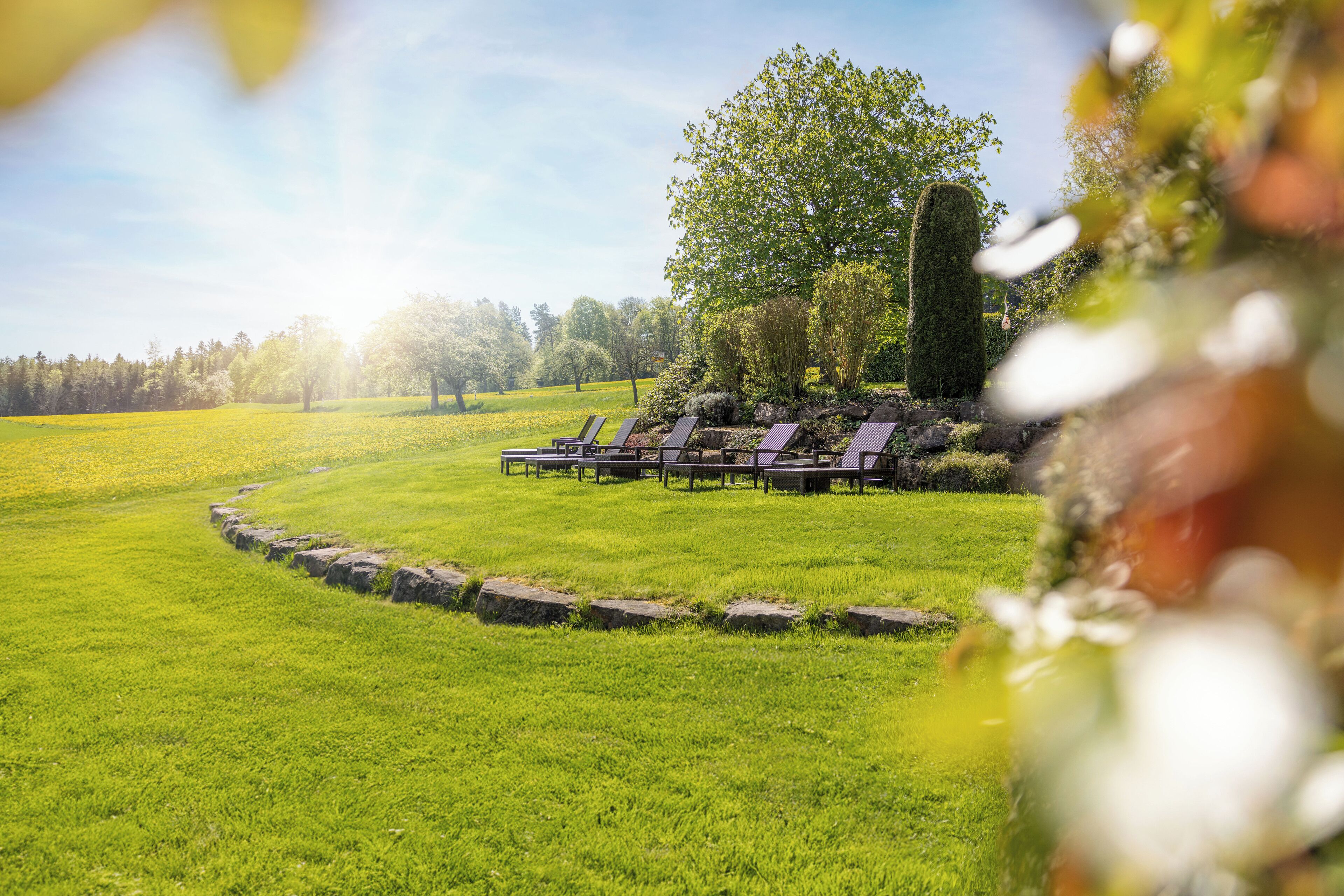 Áreas de la propiedad