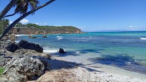Una playa con aguas turquesas cristalinas, costa rocosa y palmeras.