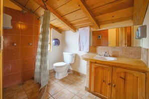 Dusche, Handtücher, Seife, Shampoo