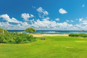 Un espace verdoyant avec un banc et un arbre, offrant une vue sur une plage et l’océan.