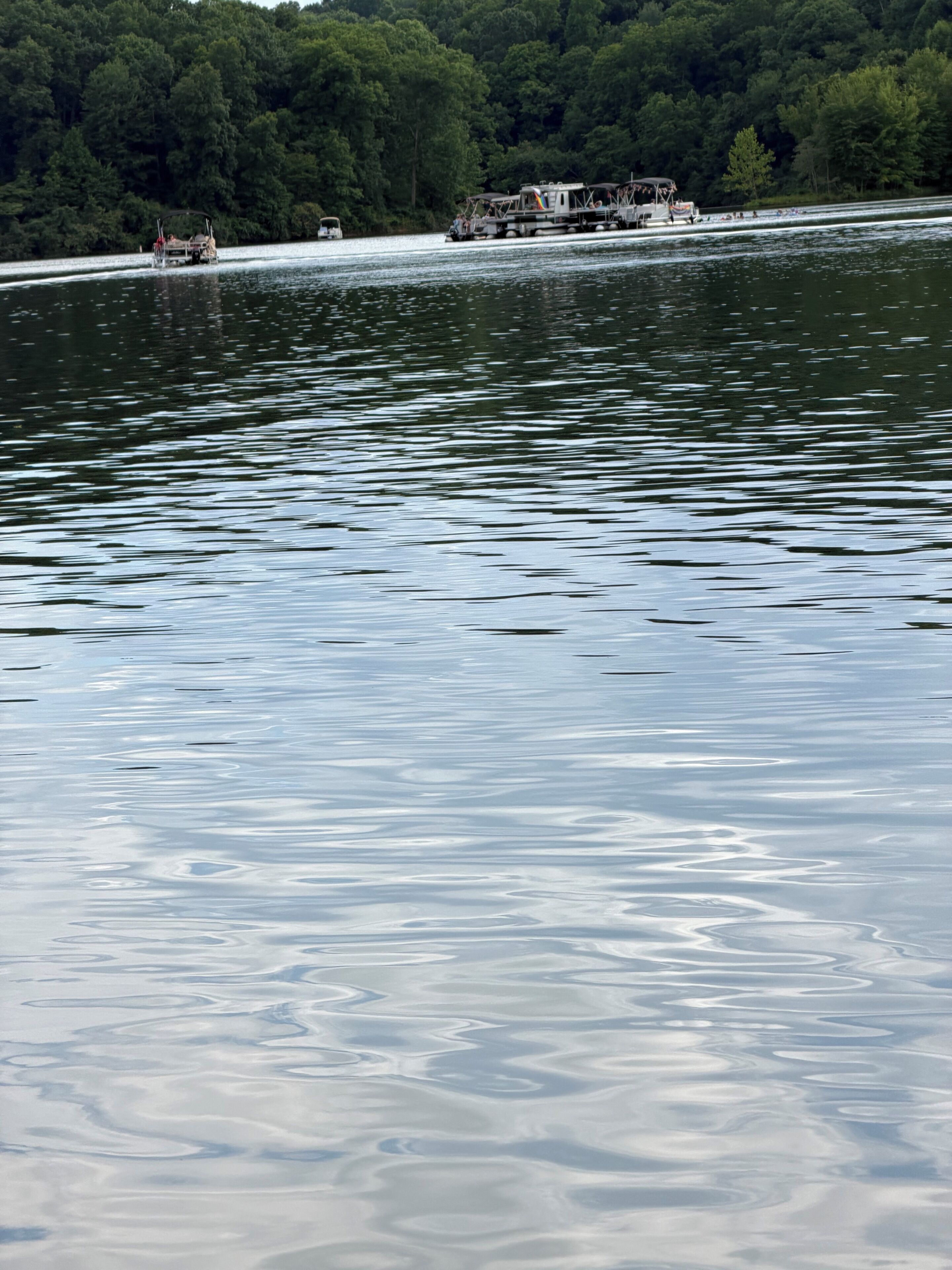 Un llac amb vaixells i un moll.