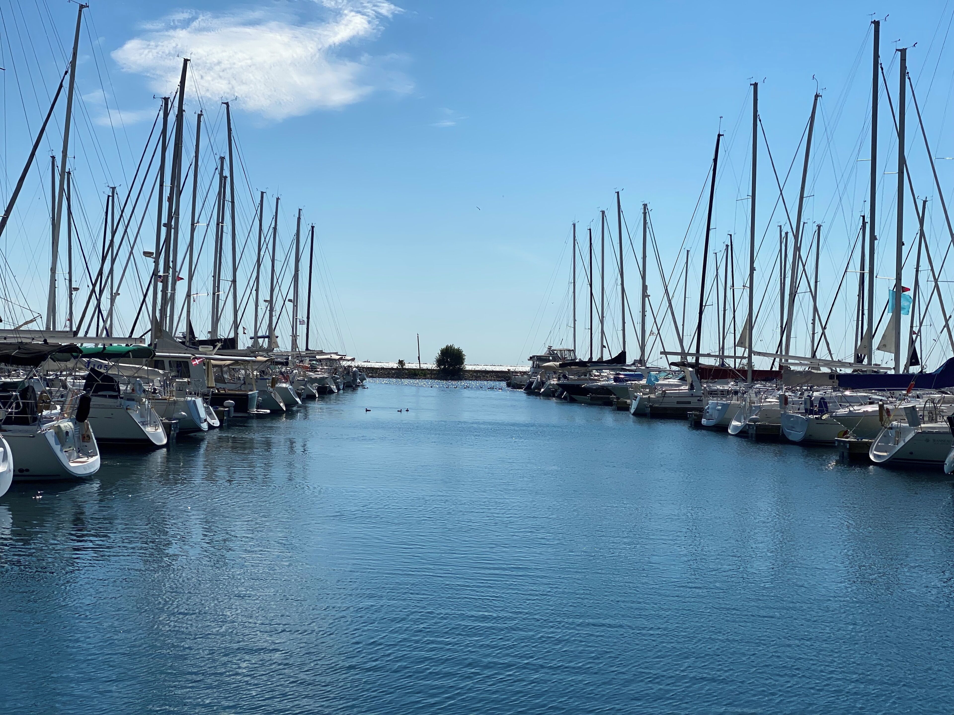 Marina