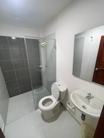 Ducha, toallas, jabón, shampoo