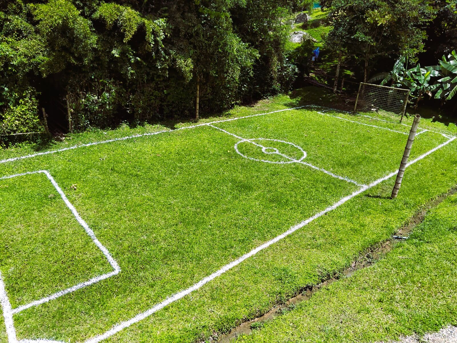 A well-maintained grassy field with white boundary lines, surrounded by dense foliage.