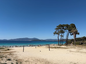 Uma praia com céu claro, areal arenoso e algumas árvores.