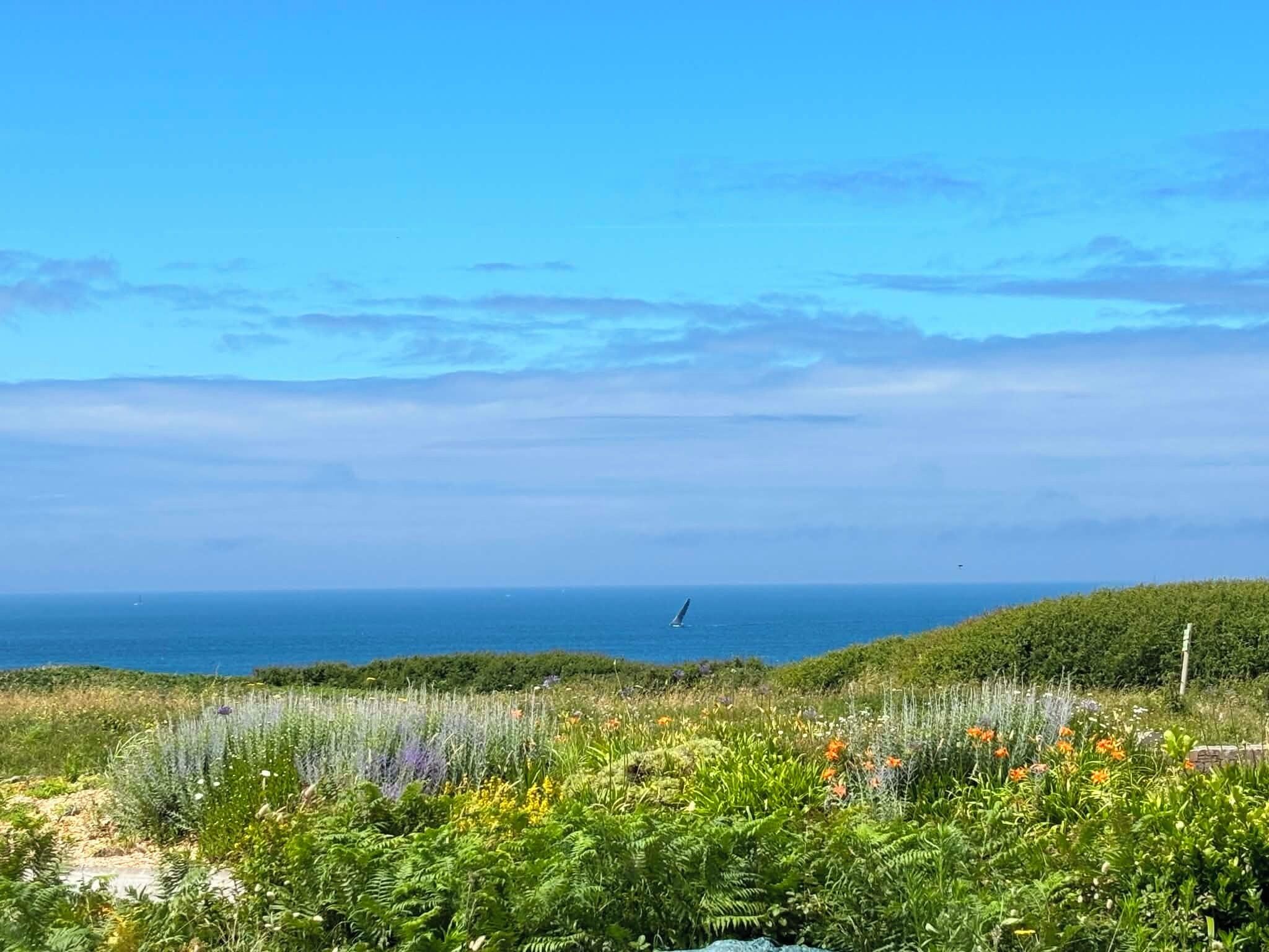 A coastal landscape with a clear view of the sea and a sailboat in the distance.