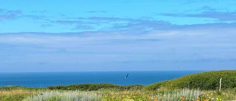 A coastal landscape with a clear view of the sea and a sailboat in the distance.