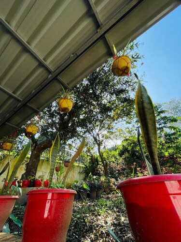 Wonderful 4-bedroom cottage in Kalpetta for a relaxing getaway