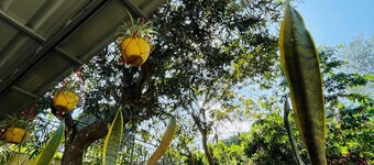 Wonderful 4-bedroom cottage in Kalpetta for a relaxing getaway