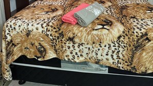 A bed with a leopard print bedspread, a pair of folded towels, and a headboard. - Pousada simples  (Pinhais)