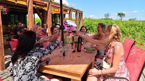 Een groep mensen die met wijn glazen proosten aan een houten tafel buiten, omringd door groen, met een rode parasol.