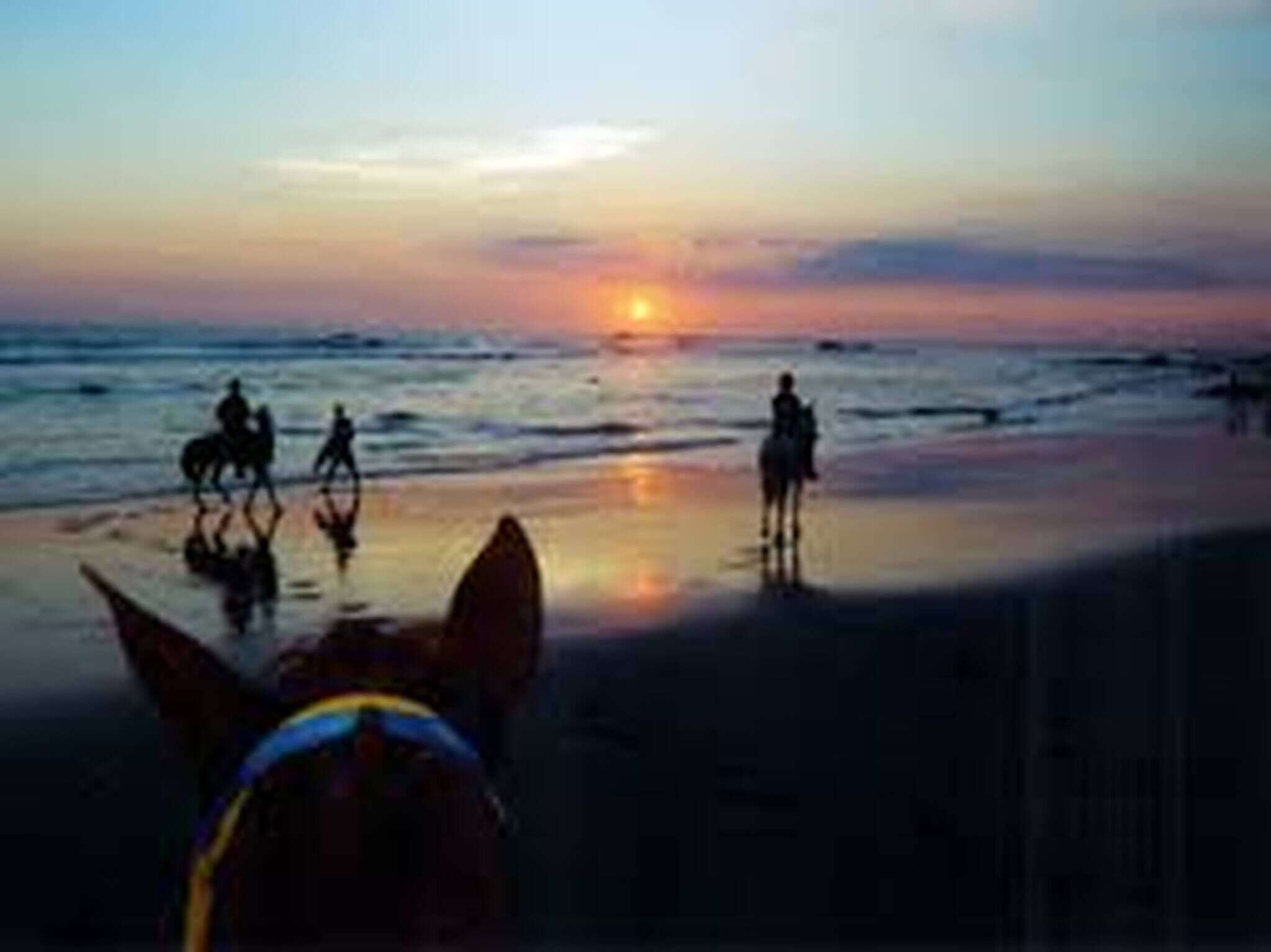 Room, 1 Bedroom, Private Pool | Beach