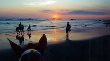 Room, 1 Bedroom, Private Pool | Beach