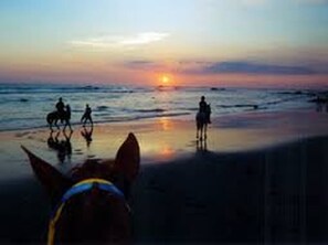 Room, 1 Bedroom, Private Pool | Beach