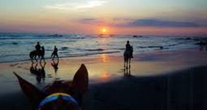 Room-casamyra American Gourmet Breakfast