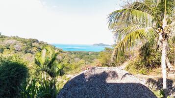 Phòng, 1 phòng ngủ, hồ bơi riêng | Khuôn viên nơi lưu trú