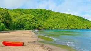 Une plage avec un bateau sur le sable et une colline boisée en arrière-plan.
