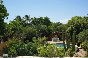 Pool - Large studio with private patio in Casa Cornucopia (Cabo San Lucas)