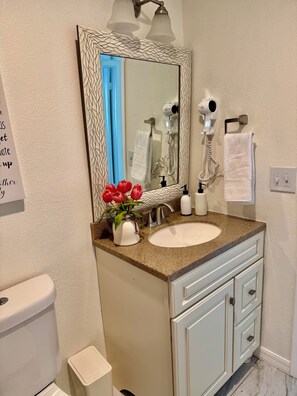 Bathroom - Modern Family and Pet friendly 3Br 2 Baths Home/Patio near Downtown Lakeland. (Lakeland)