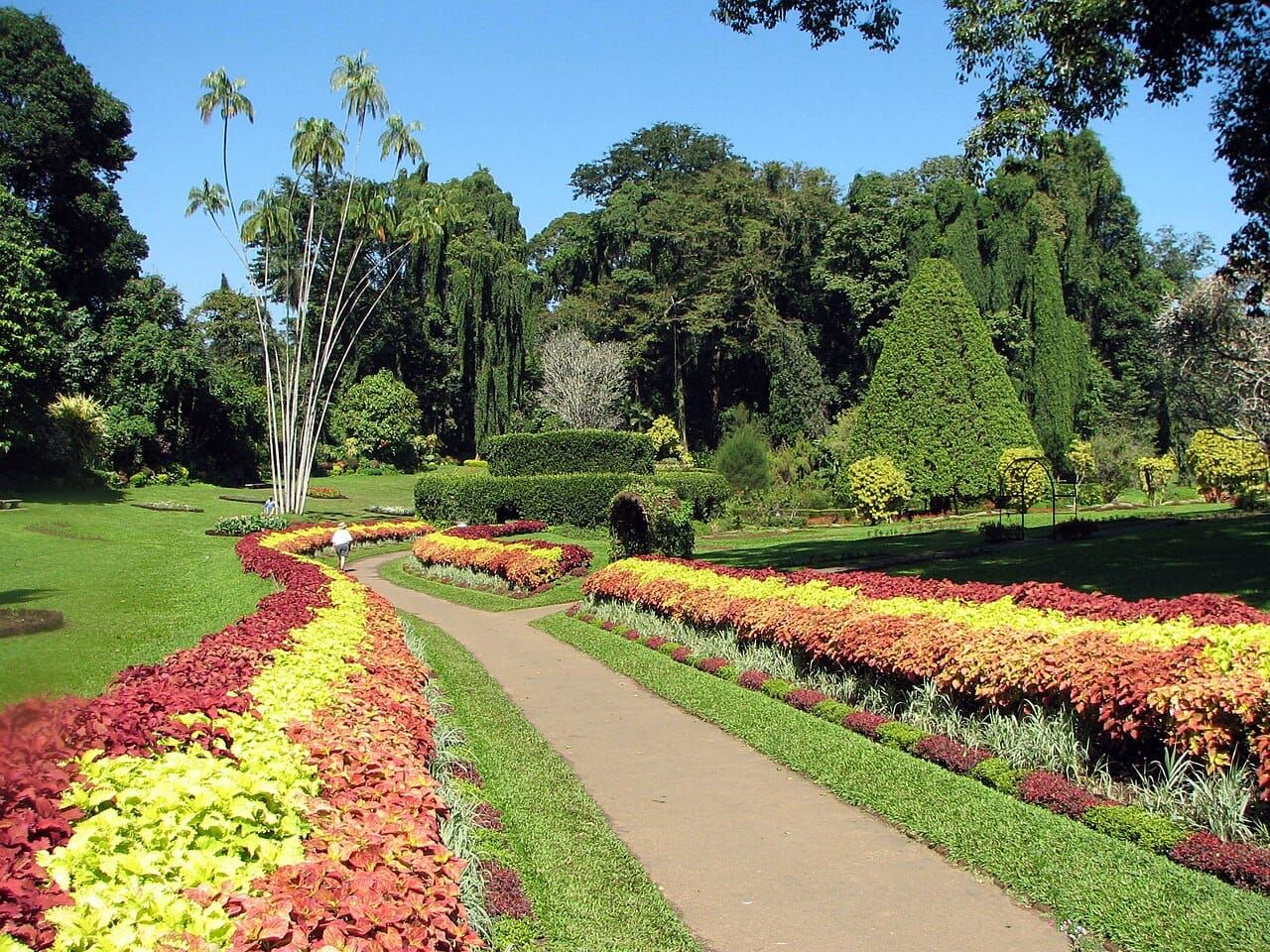 A garden pathway with neatly arranged flower beds and a variety of trees.