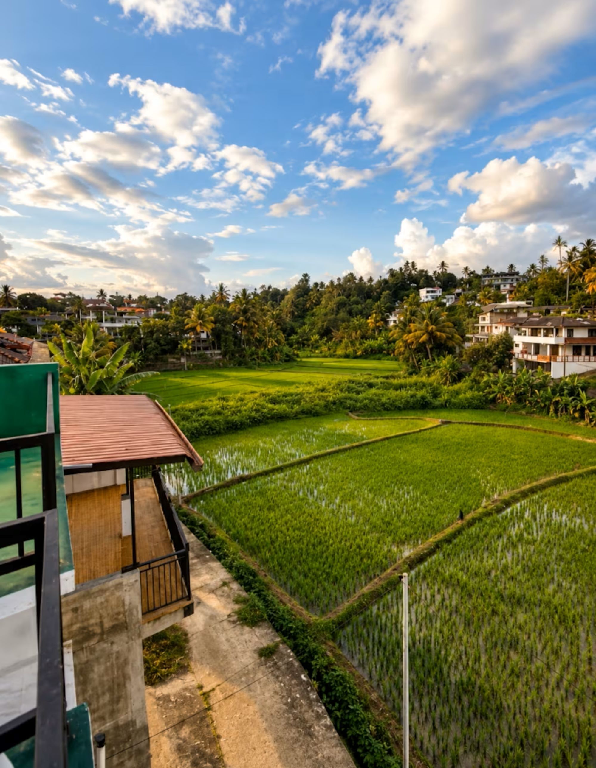 A view of a green field with a building in the foreground.