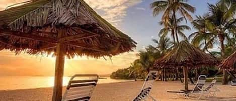 Une plage avec des parasols en chaume et des chaises longues.