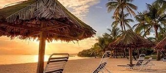 Beachside Bliss: View paradise from your balcony!
2 Bedroom/2 Baths/2 Balconies!
