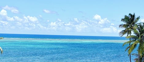 Ein Strand mit klarem, blauem Wasser, sandigem Ufer und mehreren Reetdachschirmen.