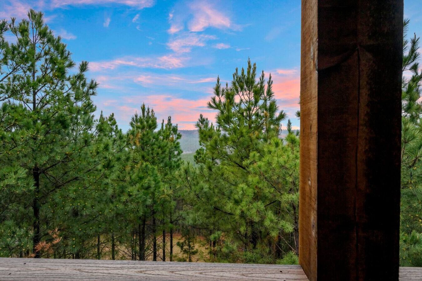 Una terraza de madera con pino en el fondo.