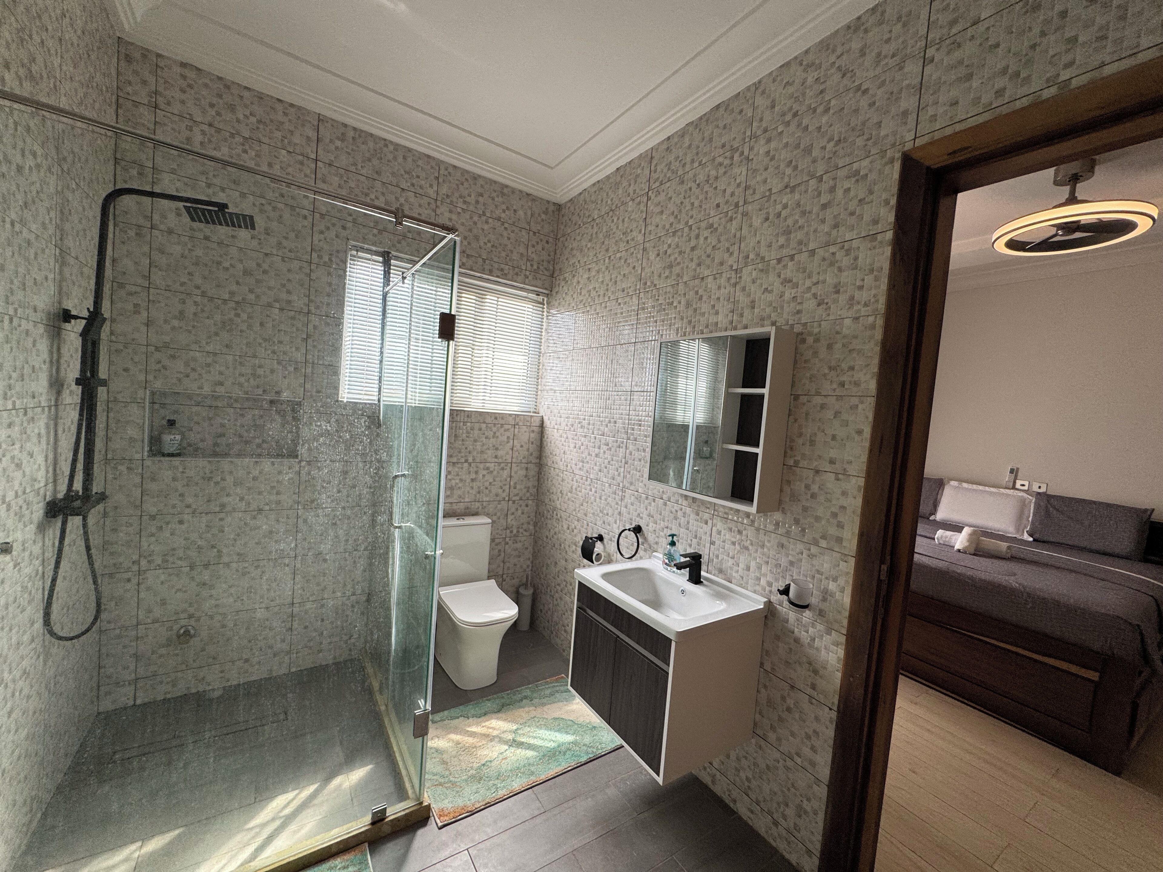 Shower, hair dryer, bidet, towels