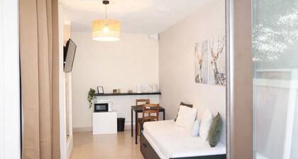 Studio Groupama stadium /LDLC arena/ Eurexpo/st Exupéry airport