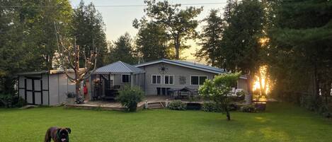 A house with a fenced yard, a dog, and a tree in the background.