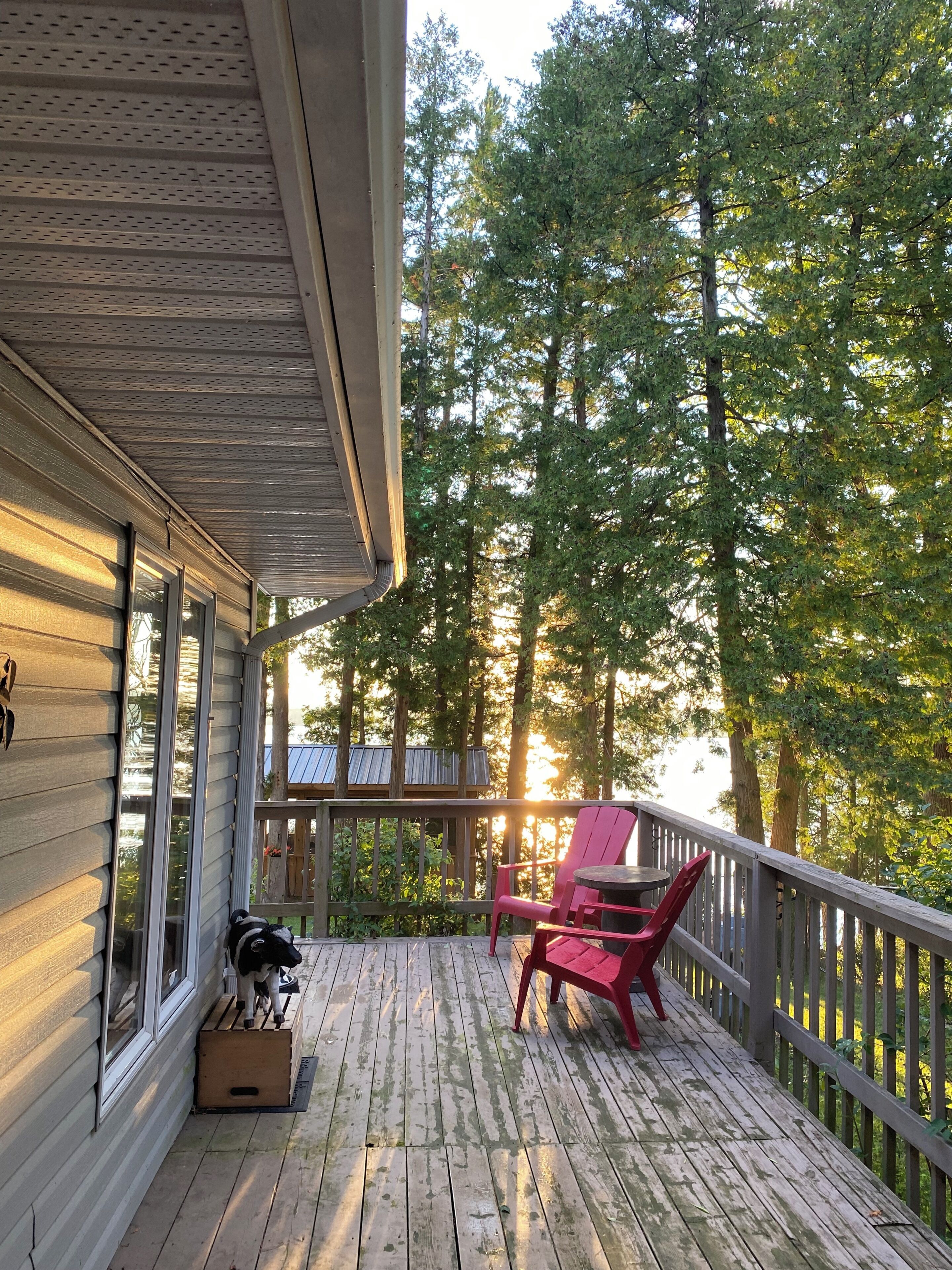 A wooden deck with a railing, a red chair, and a dog.
