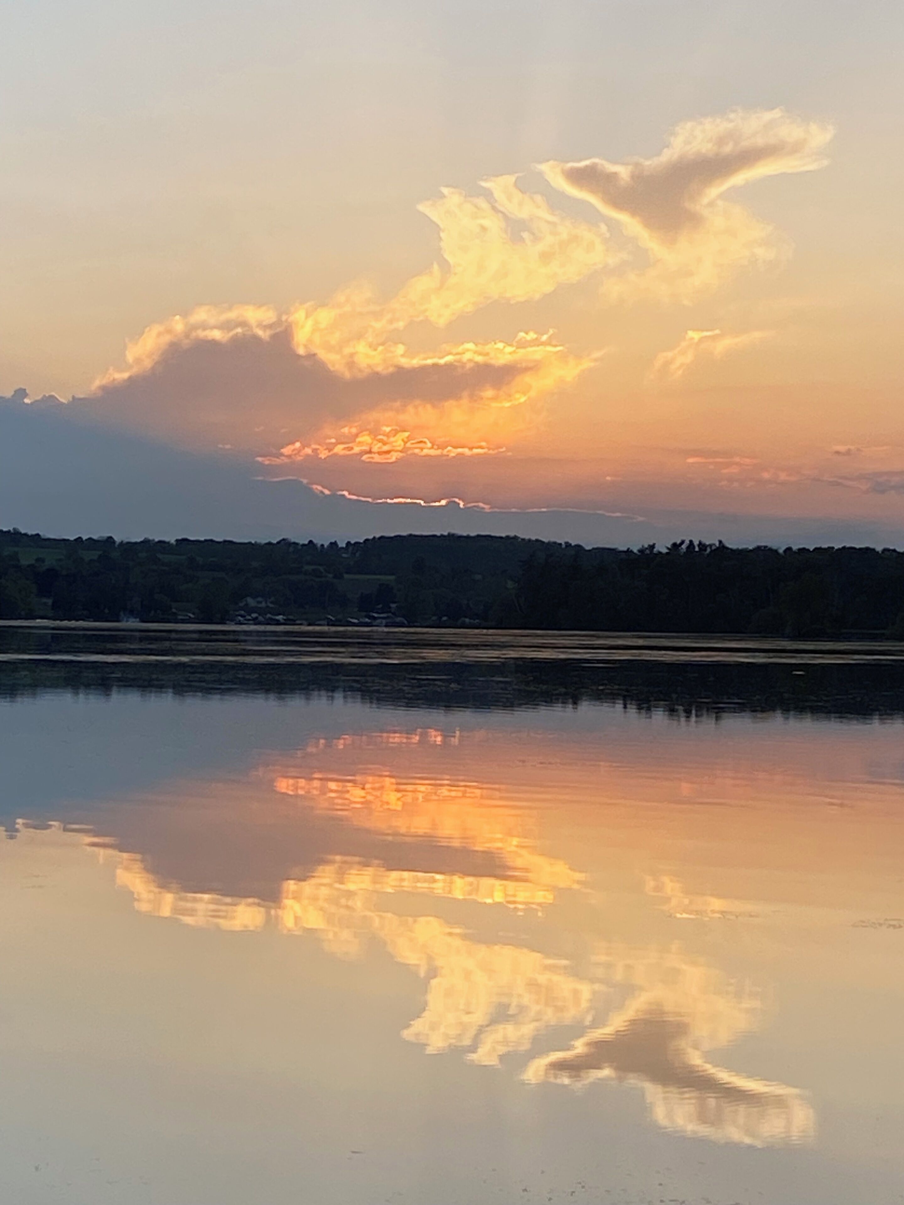 A calm lake reflecting the sky with clouds, surrounded by a forested area.