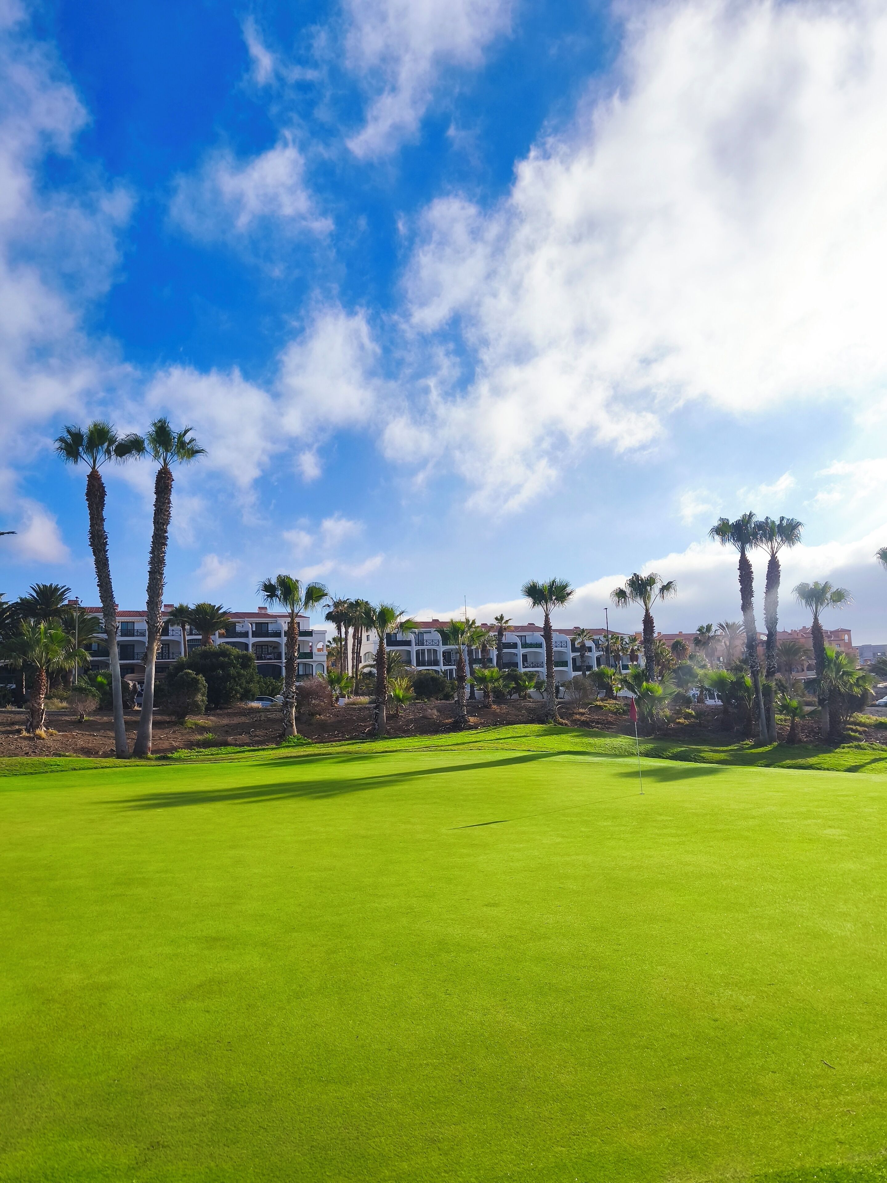 A golf course with palm trees and buildings in the background.