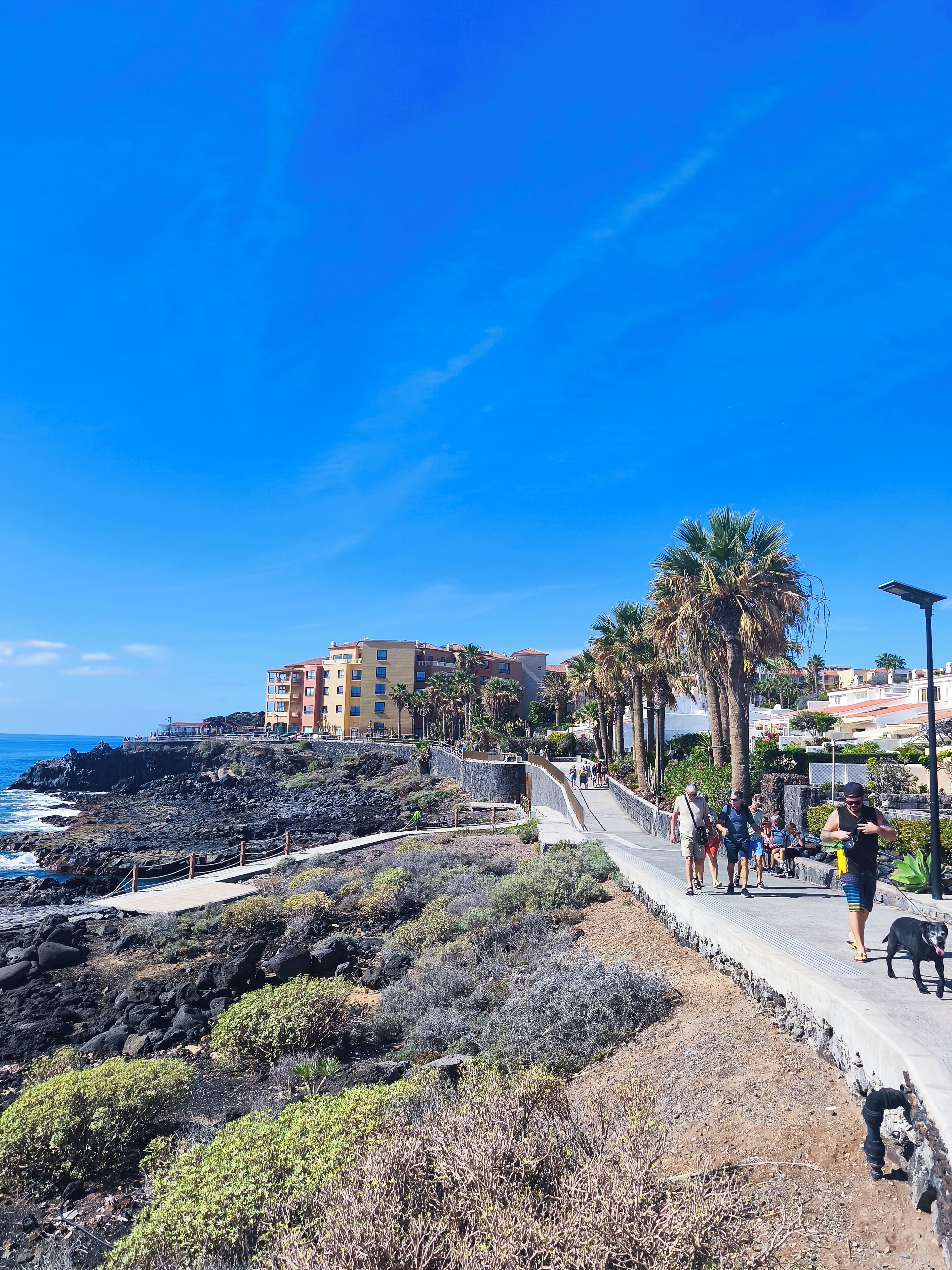 A coastal walkway with a stone wall, palm trees, and a building in the background.