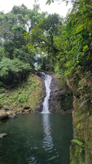 Uma cascata em área arborizada, com um lago na base.
