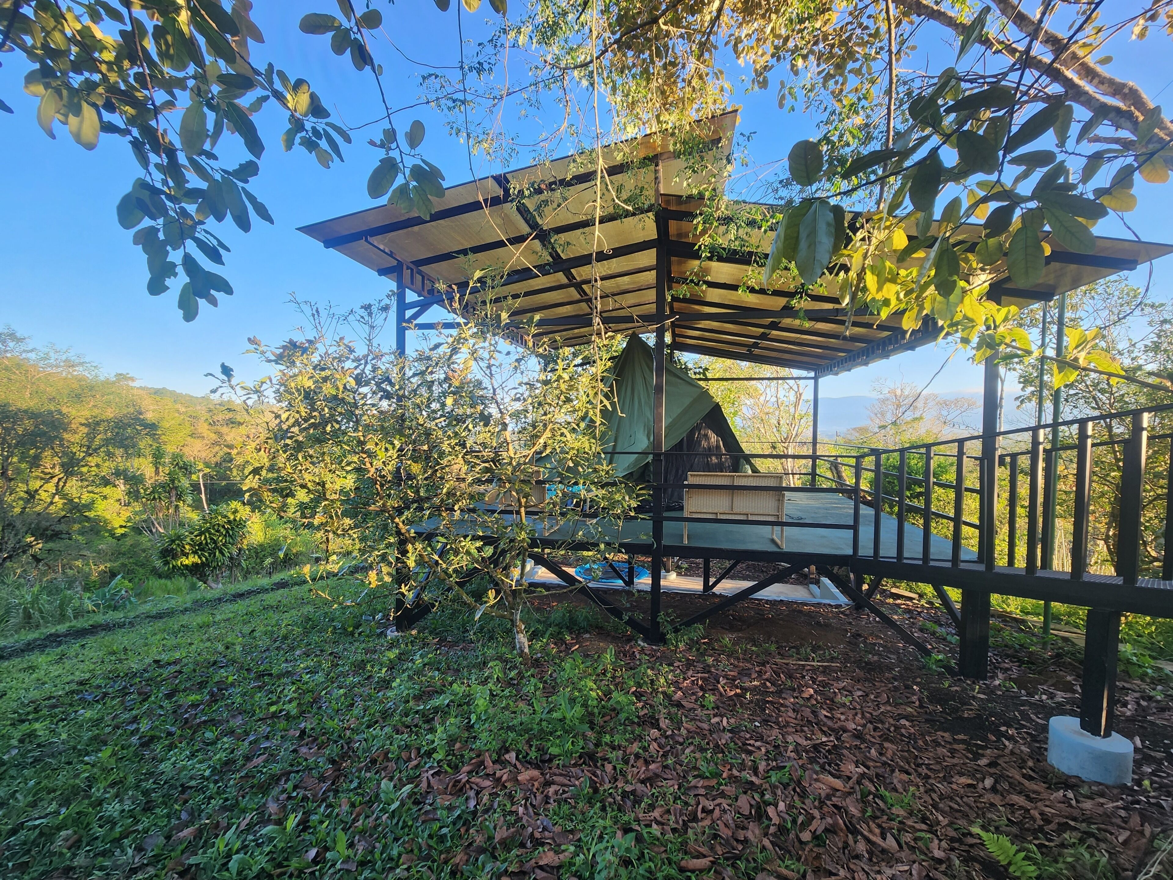 A covered outdoor seating area with a view of the surrounding forest.