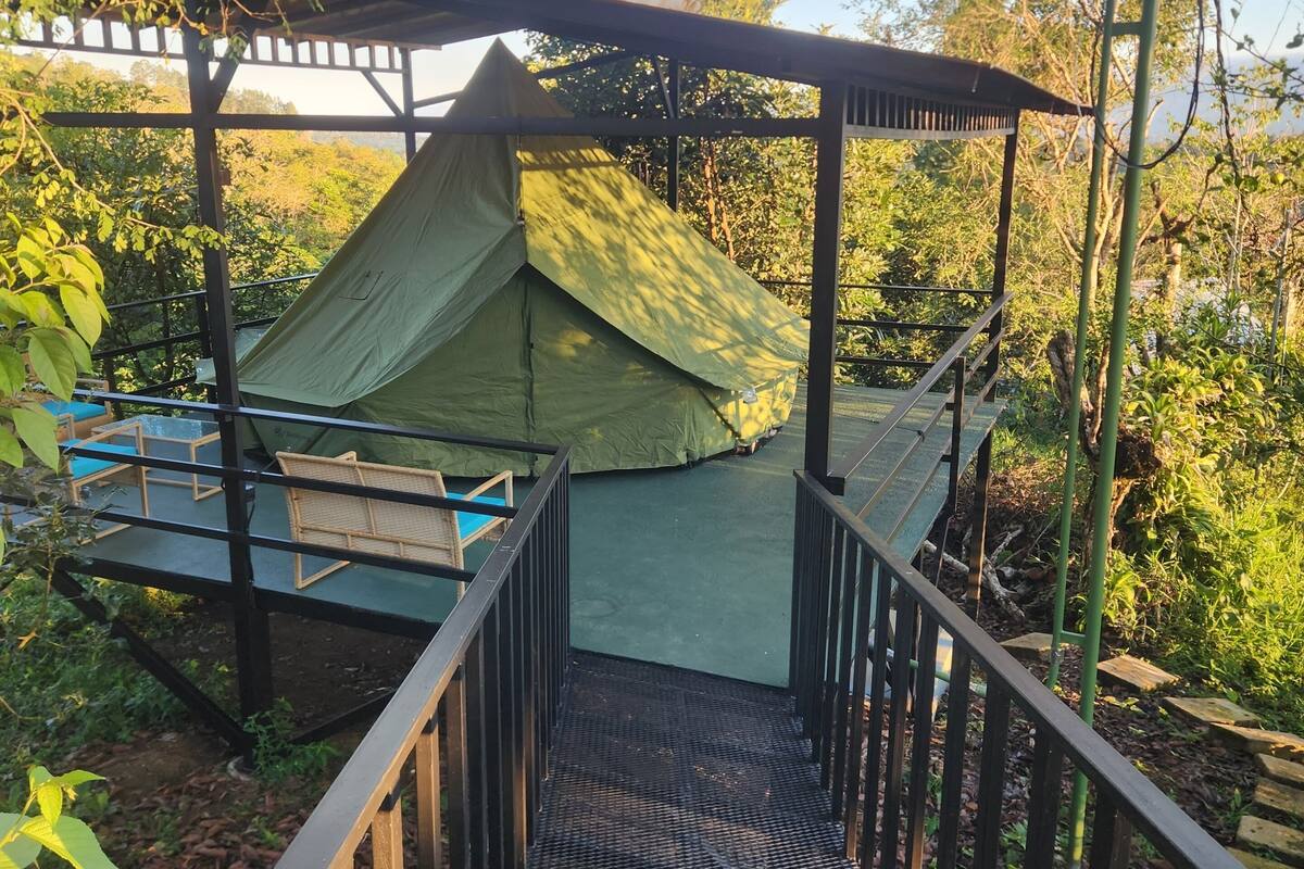 Una escalera de madera que lleva a una tienda verde bajo una pérgola, rodeada de follaje.