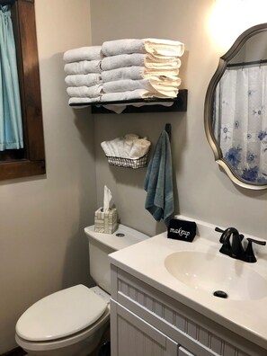 Bathroom - 4-Bedroom Chalet in Plymouth, Vt. Central to Killington, Woodstock, and Okemo! (Plymouth)