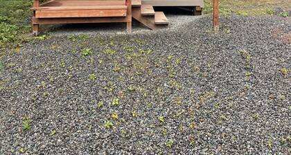 Serene 1-bedroom cabin in Soldotna perfect for cozy getaway Kenai River close by