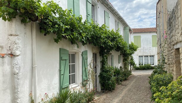 En smal brostenssti kantet af hvide bygninger med grønne skodder og slyngplanter.
