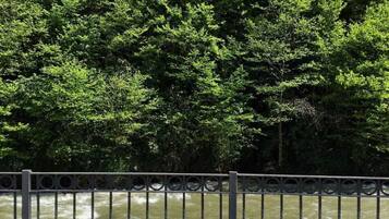 Vista desde la propiedad