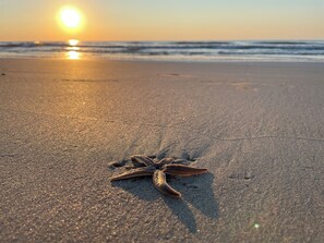 On the beach, sun-loungers, beach towels - A308 at the Myrtle Beach Resort
Beautiful Oceanfront 2 bdrm condo. (Myrtle Beach)