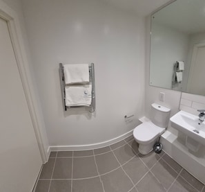 Room, 1 Bedroom, Accessible, Smoking | Bathroom