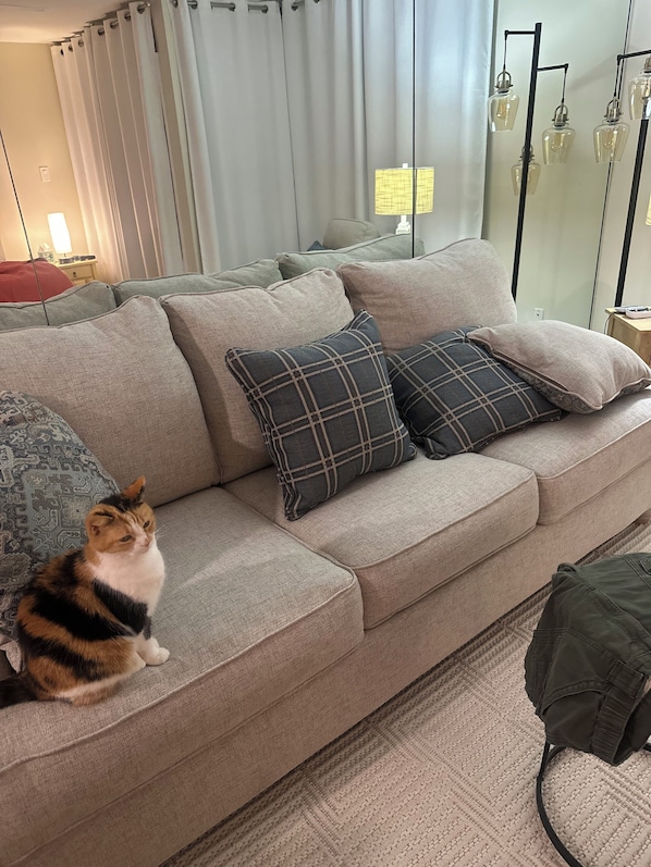 Living area - Charming condo in gorgeous Destin perfect for your beach getaway (Destin)